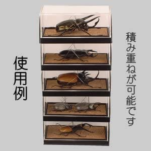Amazon.co.jp: 【2個セット】フジコン PREMIUM（プレミアム